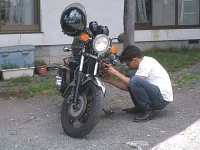 ���������ė�̏C����?