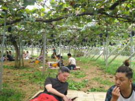 ���˂�����񂩂�̃��[���`�F�b�N�H